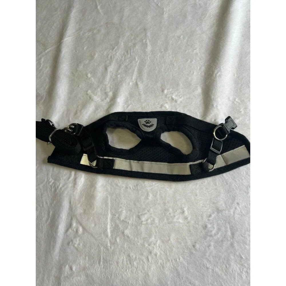 Xs pet harness & leash *my kitten was NOT a fan